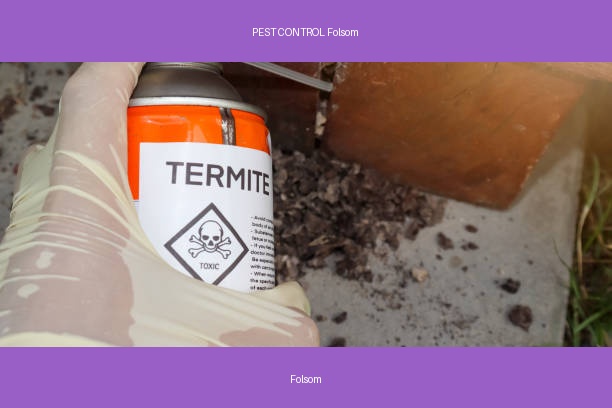 PEST CONTROL Folsom